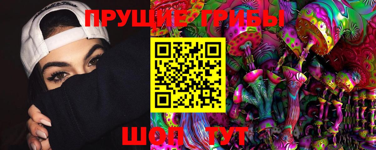Псилоцибиновые грибы GOLDEN TEACHER Знаменск