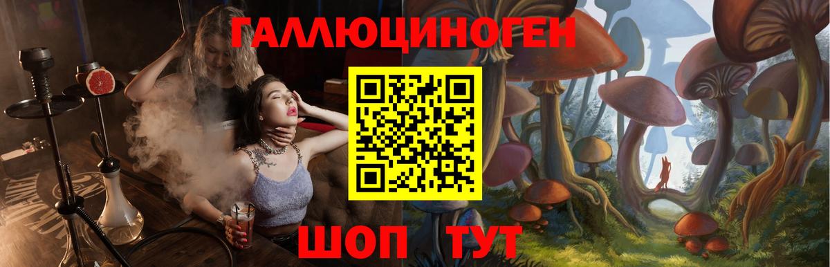 Знаменск  Псилоцибиновые грибы мицелий  Вход с VPN  Псилоцибиновые грибы прущие грибы 